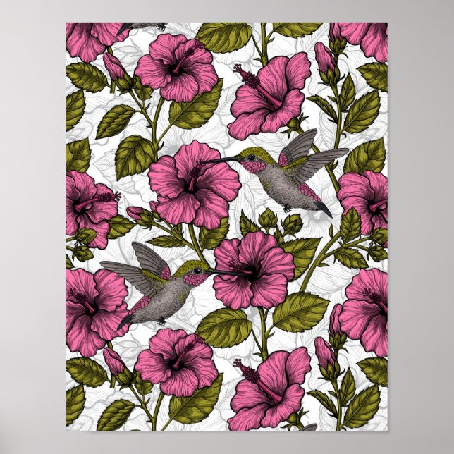 Póster Pájaros húmedos y flores de hibisco rosa (Frente)