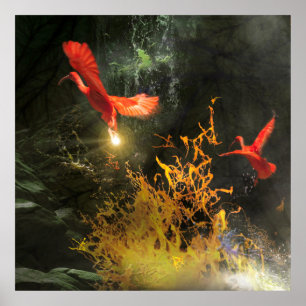 Póster Pájaros Ibis Escarlata “ROBAN LA LUZ”