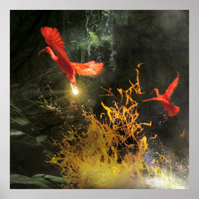 Póster Pájaros Ibis Escarlata “ROBAN LA LUZ” (Frente)