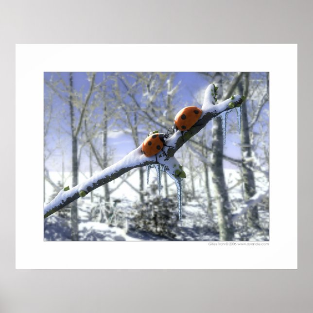 Póster Pájaros ladinos navidades (Frente)