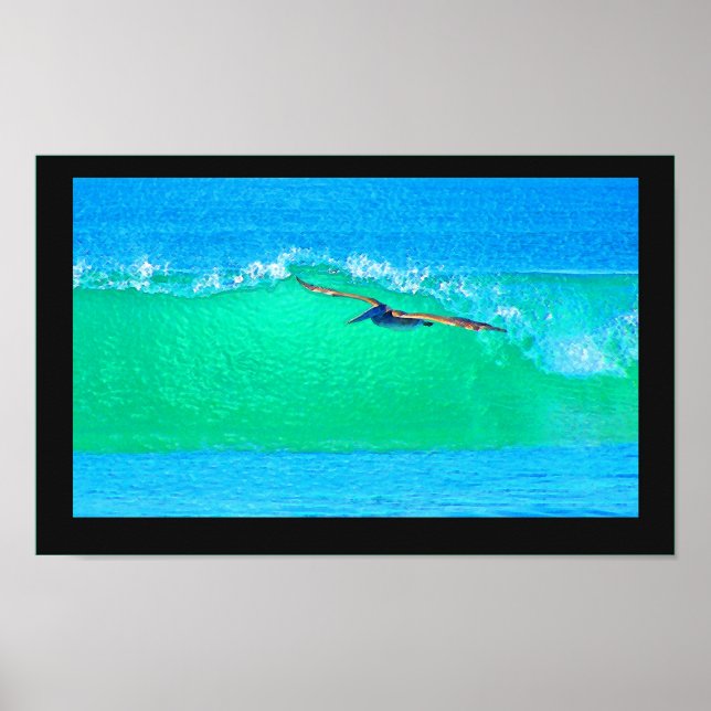 Póster Pájaros Pelícanos Animales de vida silvestre (Frente)