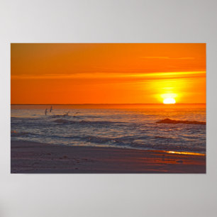 Póster Pájaros Rayadores Vuelan al Amanecer, Playa de Flo