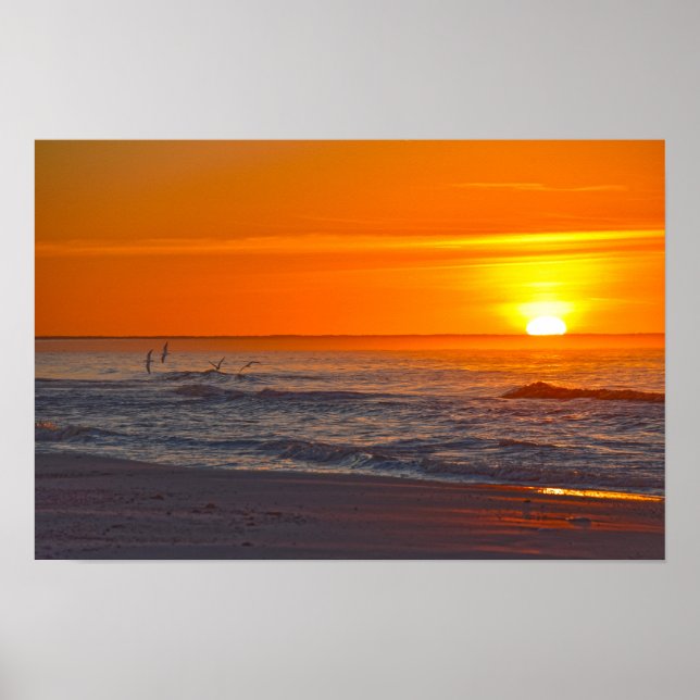 Póster Pájaros Rayadores Vuelan al Amanecer, Playa de Flo (Frente)