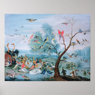 Póster Pájaros tropicales en un paisaje