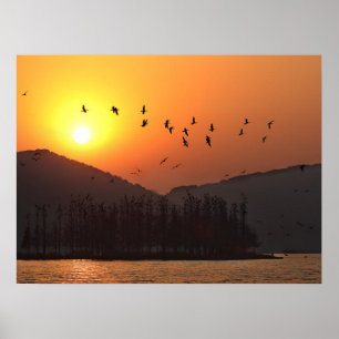 Póster Pájaros volando en el cielo del atardecer sobre el