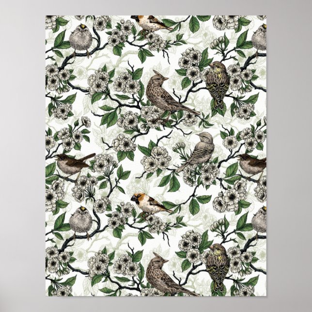 Póster Pájaros y flor de cerezo sobre blanco (Frente)