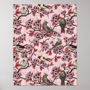 Póster Pájaros y flor de cerezo sobre rosa pink