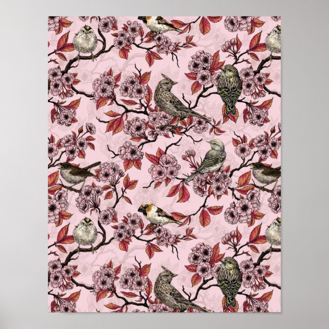 Póster Pájaros y flor de cerezo sobre rosa pink (Frente)