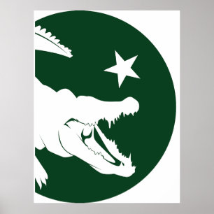 Póster Pakistán cocodrilo Bandera nacional paquistaní