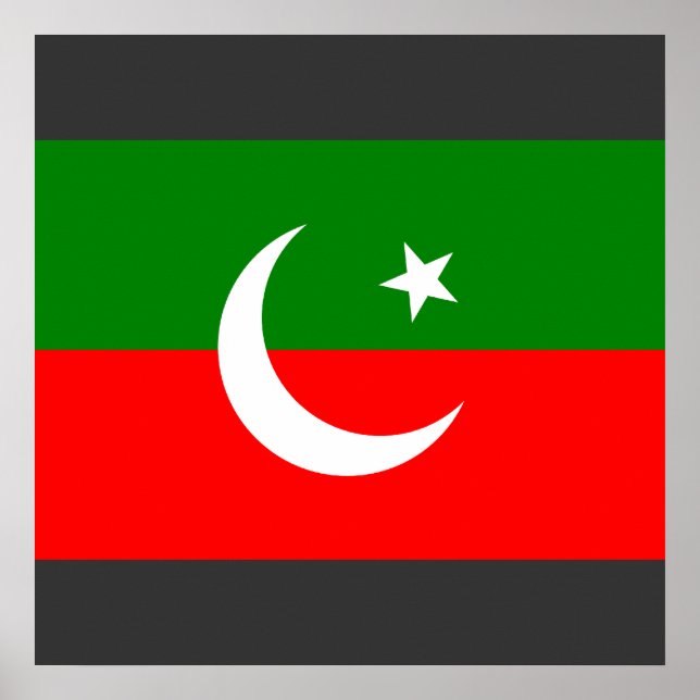 Póster Pakistan Tehreek e Insaf, Pakistán (Frente)