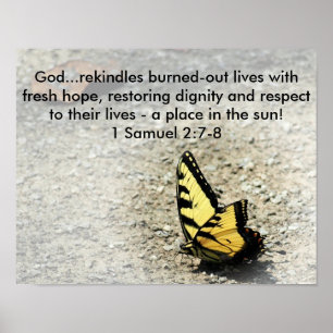 Póster Palabras de esperanza Escritura Mariposa poster de