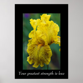 Póster Palabras de sabiduría Poster