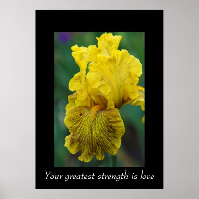 Póster Palabras de sabiduría Poster (Frente)