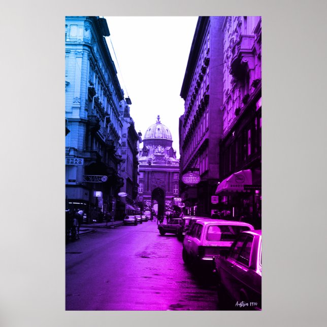 Póster Palacio Imperial de Viena Austria Vintage (Frente)