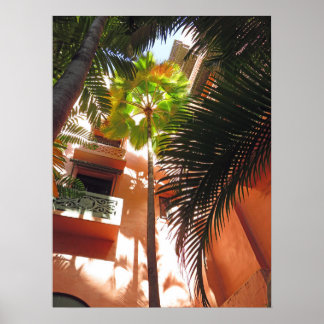 Póster Palacio Rosa