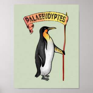 Póster Palaeeudyptes Extinct Penguin