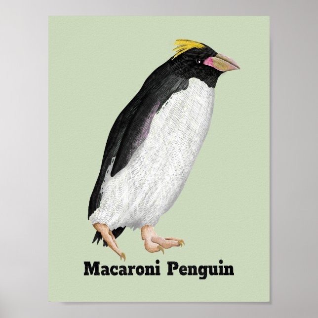 Póster Palaeeudyptes Extinct Penguin (Frente)