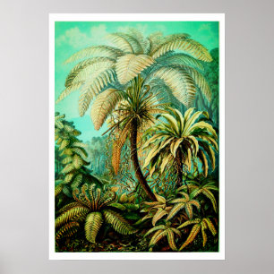 Póster Palas botánicas Ernst Haeckel