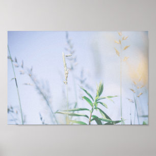 Póster Pale Pastel Green Grass Reeds Meadow Sky