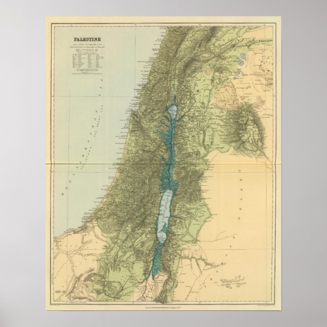 Póster Palestina 3 (Frente)