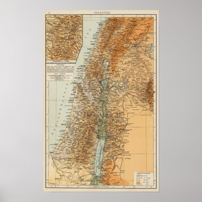 Póster Palestina 4 (Frente)