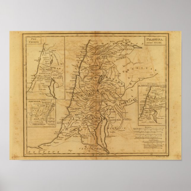 Póster Palestina 5 (Frente)