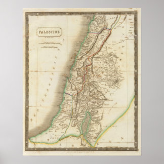 Póster Palestine 2