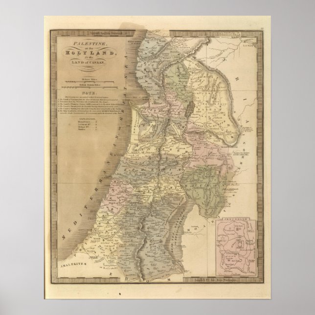 Póster Palestine 5 (Frente)