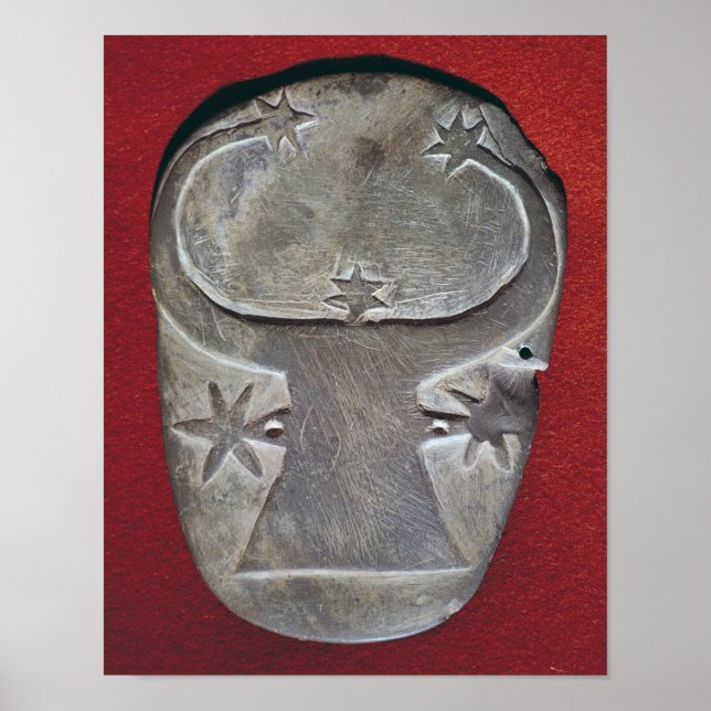 Póster Paleta de la cabeza de Bull (Frente)