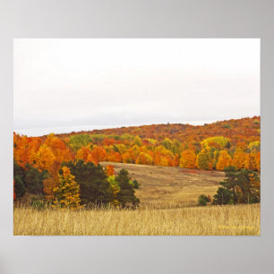 PÓSTER "PALETTE DE OTOÑO/CAMPO DE MICHIGAN"