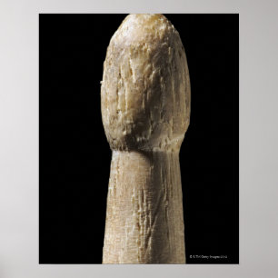 Póster Palillo de madera usado