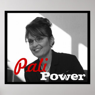 Póster Palin Power