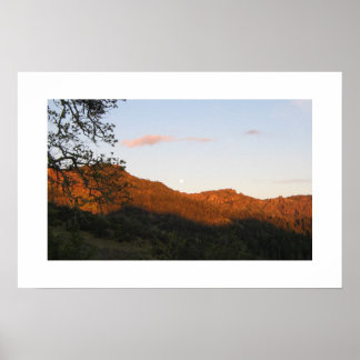 Póster Palisades