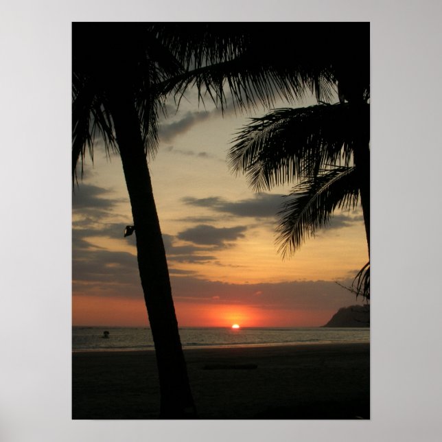 Póster palm beach (Frente)