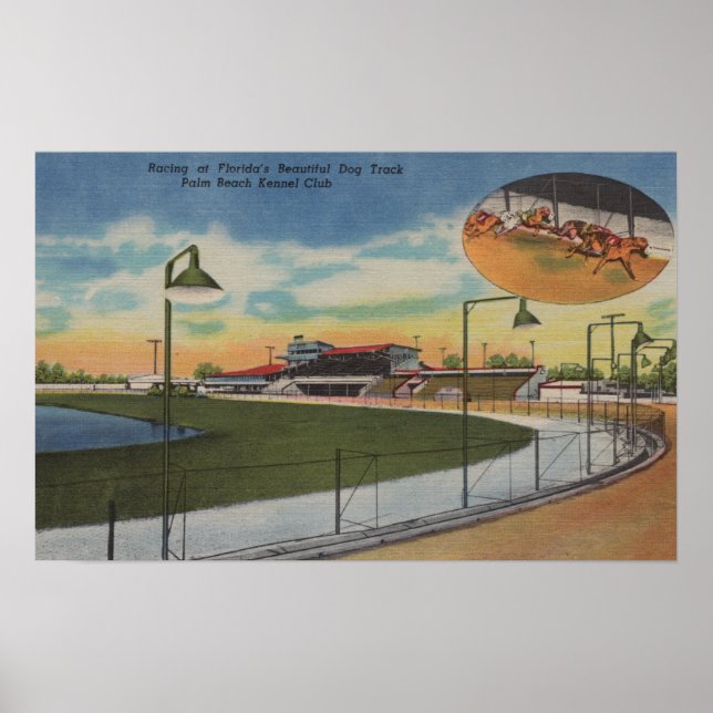 Póster Palm Beach, FL - Kennel Club, pista de Carreras de (Frente)