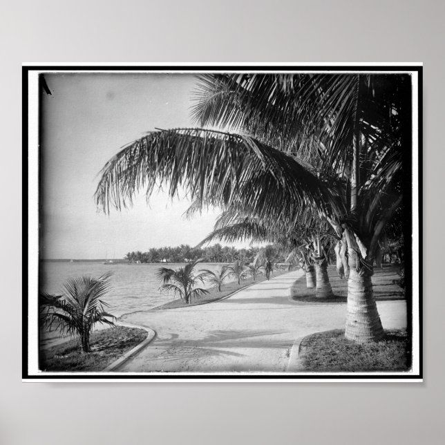 Póster Palm Beach, Florida c1894 Vintage (Frente)