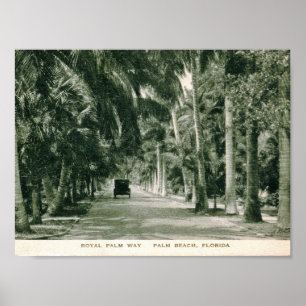 Póster Palm Beach, Florida, Royal Palm Way Vintage