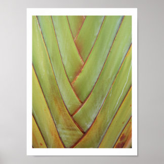 Póster Palm de viajero