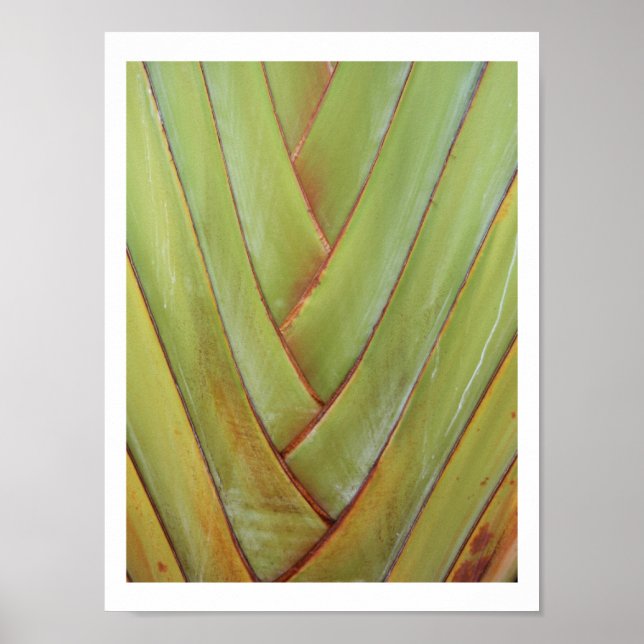 Póster Palm de viajero (Frente)