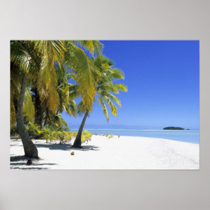 Póster Palm lined beach Cook Islands 2