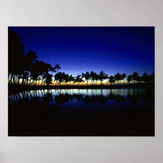 Póster palm_silhouette_big_island_hawaii