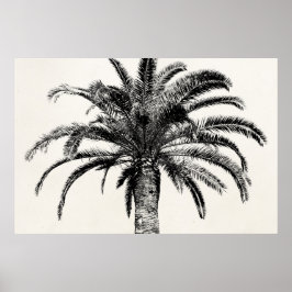 Póster Palm Tree de Isla Tropical Retro en blanco y negro