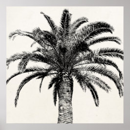 Póster Palm Tree de Isla Tropical Retro en blanco y negro