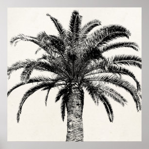 Póster Palm Tree de Isla Tropical Retro en blanco y negro