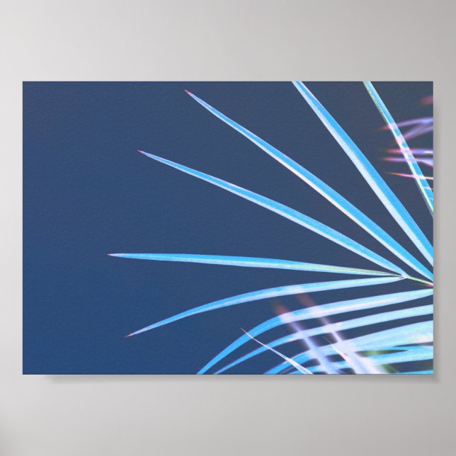 Póster Palm Tree Deja Esbozo Minimalismo (Frente)