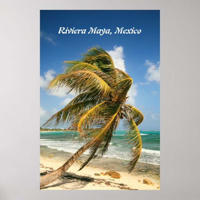 Póster Palm Tree en la Riviera Maya, Poster de México (Frente)