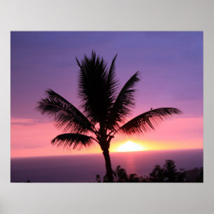 Póster Palm Tree hawaiana y colorido atardecer