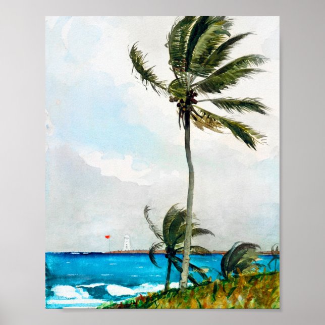 Póster Palm Tree Nassau by Winslow Homer (Frente)
