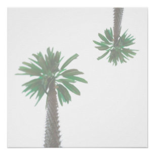 Póster Palm Tree Pastel Verde Tropical