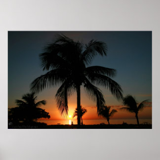 Póster Palm Tree Sunset